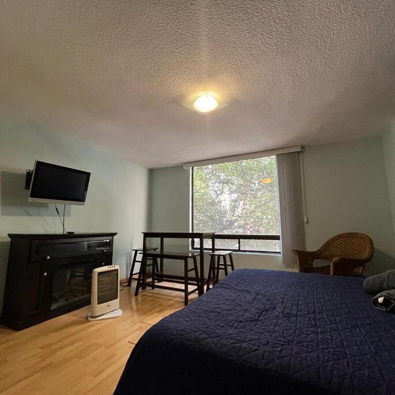 Near the best spots in Polanco - Three-Bedroom Apartment - 18