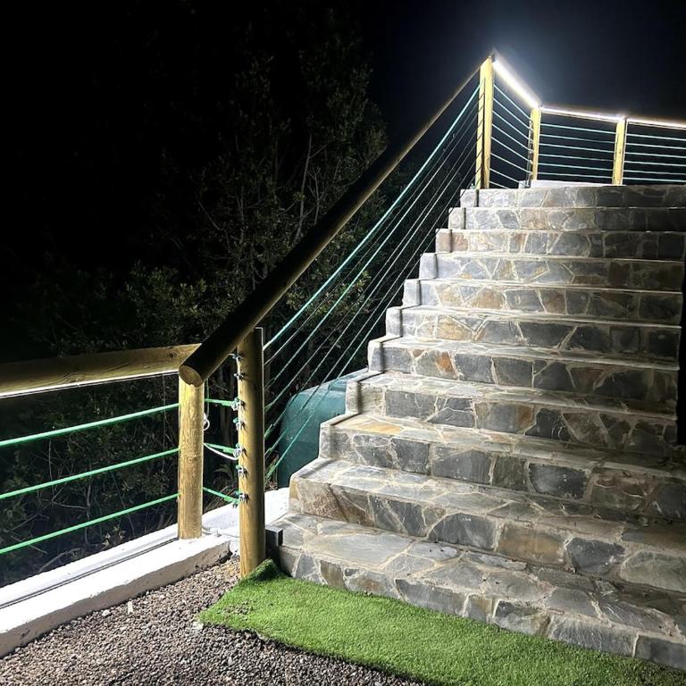 Viva Forest Apartment, Stevier - One-Bedroom Apartment - 14