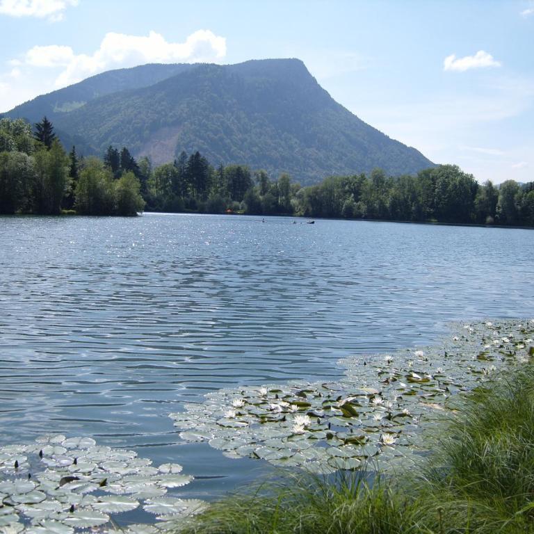 Allgäu Berge und Seen - Apartment - 2