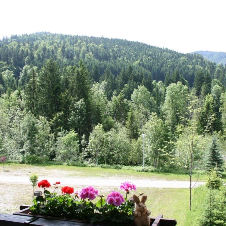 Alpenspatzl - Apartment - 12