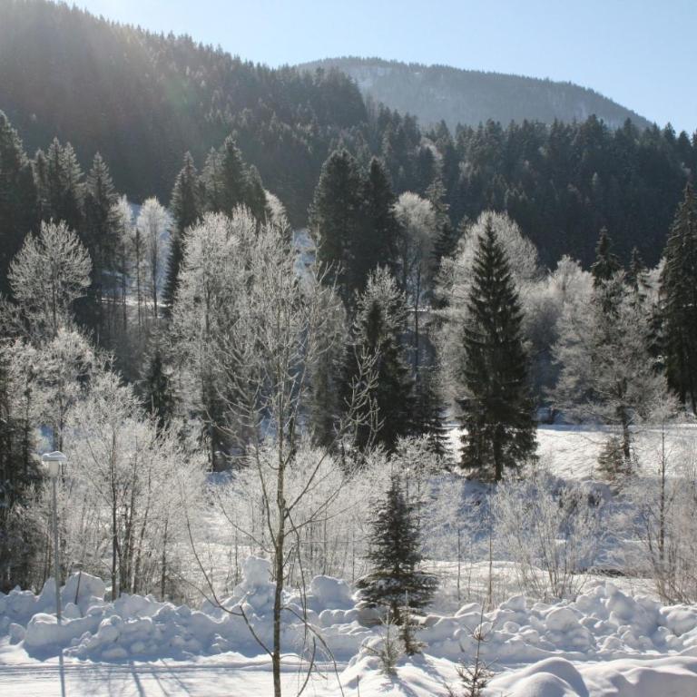 Alpenspatzl - Apartment - 13