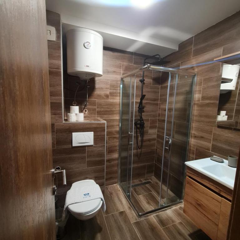 SkyKop Apartmani - Apartman sa 1 Spavaćom Sobom, Balkonom i Pogledom na Planinu - 2