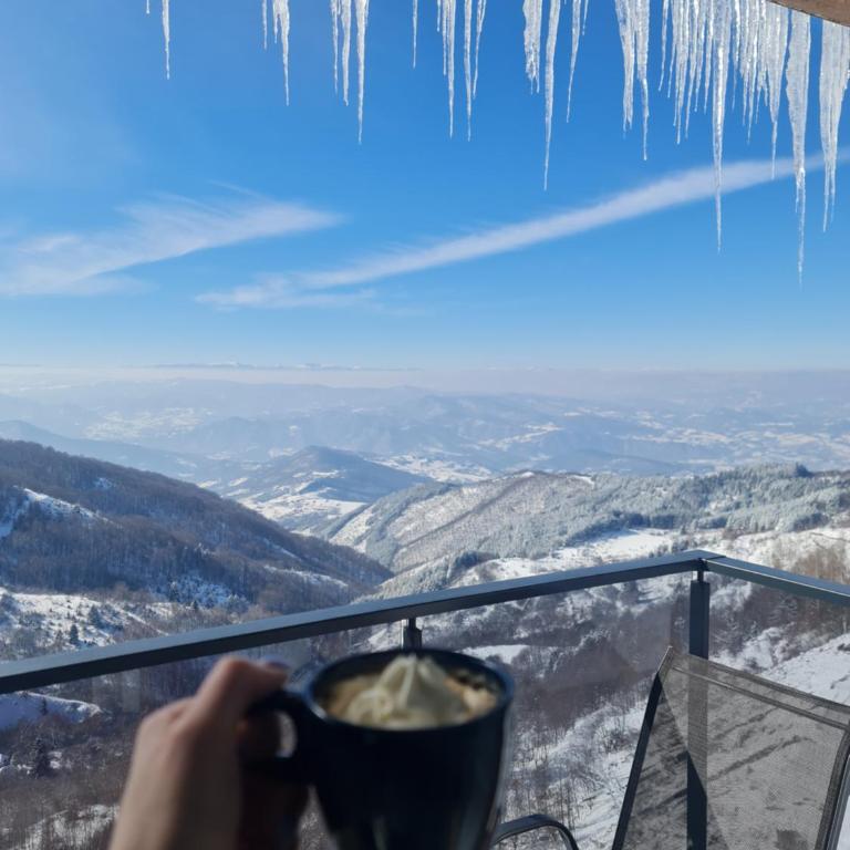 SkyKop Apartmani - Apartman sa 1 Spavaćom Sobom, Balkonom i Pogledom na Planinu - 7