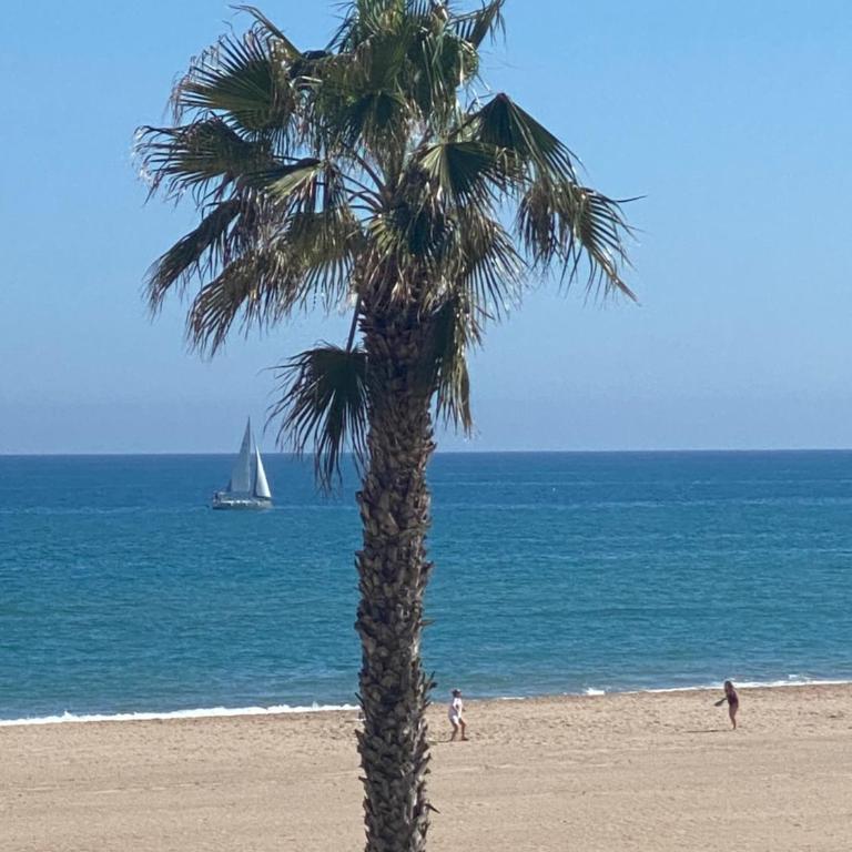 Beach Front 2 Bedrooms Apartment - Two-Bedroom Apartment - 11