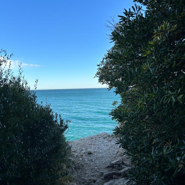 Beach Front 2 Bedrooms Apartment - Two-Bedroom Apartment - 16