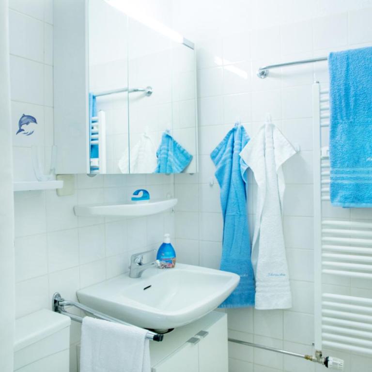 Alpenschwänchen 1 - Apartment - 13