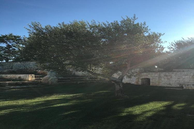 Trullo in Apulia with Private Pool - Casa Vacanze con 2 Camere da Letto - 39