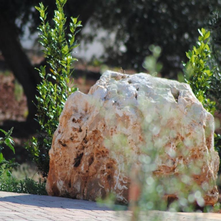 Trullo in Puglia with Private Pool and Charm - Casa Vacanze con 3 Camere da Letto - 52