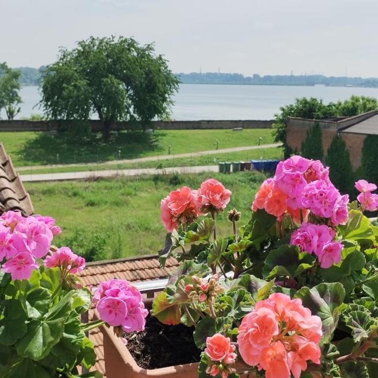 Bellavista Mantova - Appartamento con 2 Camere da Letto - 1