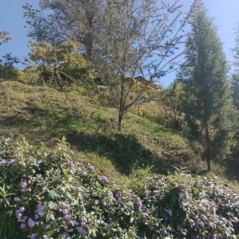 Finca Oriente Antioqueño Guarne Rionegro - Casa de 5 dormitorios - 17