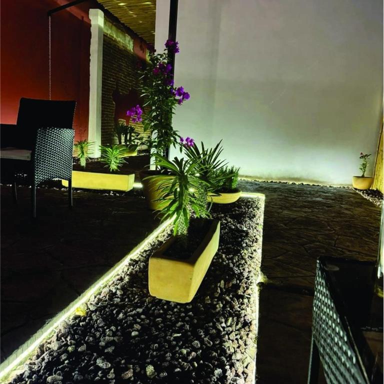 Casa Cañonero, a magic place, tepextate room - Apartamento de 1 dormitorio - 7