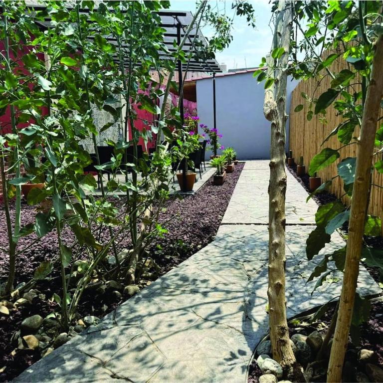 Casa Cañonero, a magic place, 4 room - Apartamento de 1 dormitorio - 2