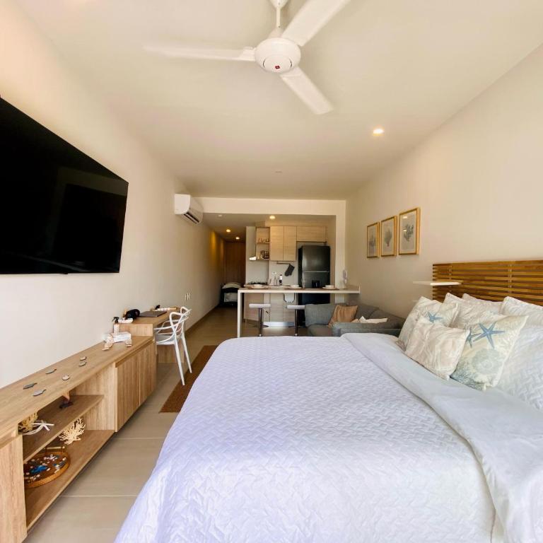 Morros EOS Manzanillo piso 3 - Apartamento de 1 dormitorio - 6