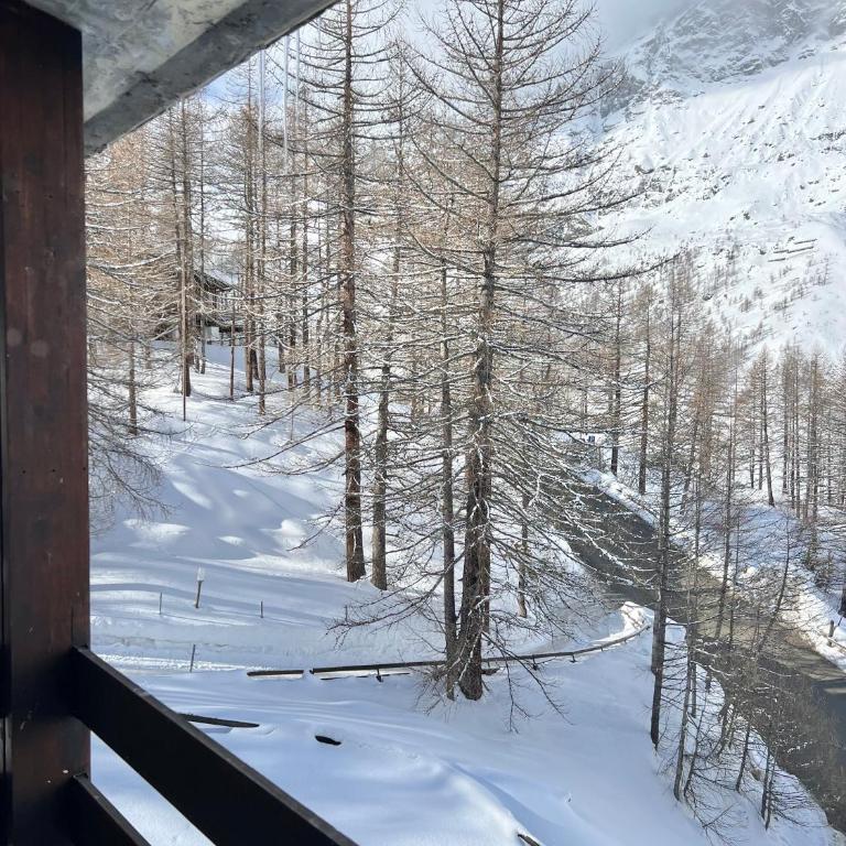 Casa Cristallo - Appartamento con 1 Camera da Letto - 20