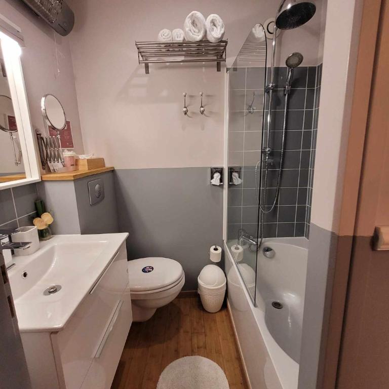 Péniche Amboise Maison d'Hôtes Flottante Toulouse Centre - Habitación Triple con baño privado - 11