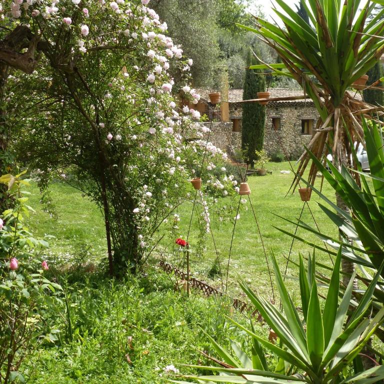 maison florentine - Villa - 25