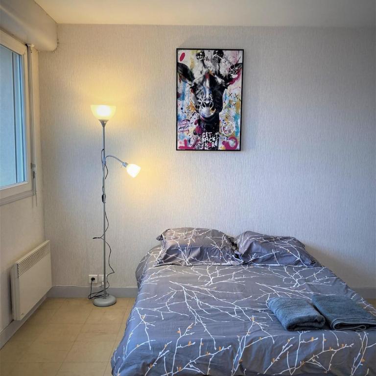 Appartement double à Limoges - Appartamento con 1 Camera da Letto - 6