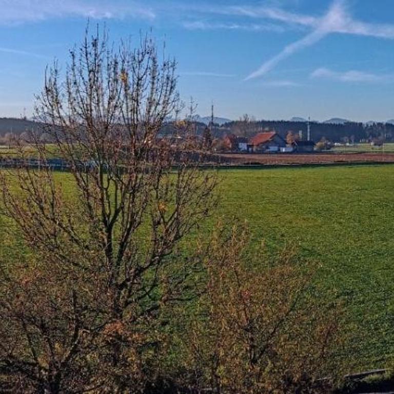 Ferienwohnung unterm Dach mit Alpenblick - Apartment mit 1 Schlafzimmer - 24