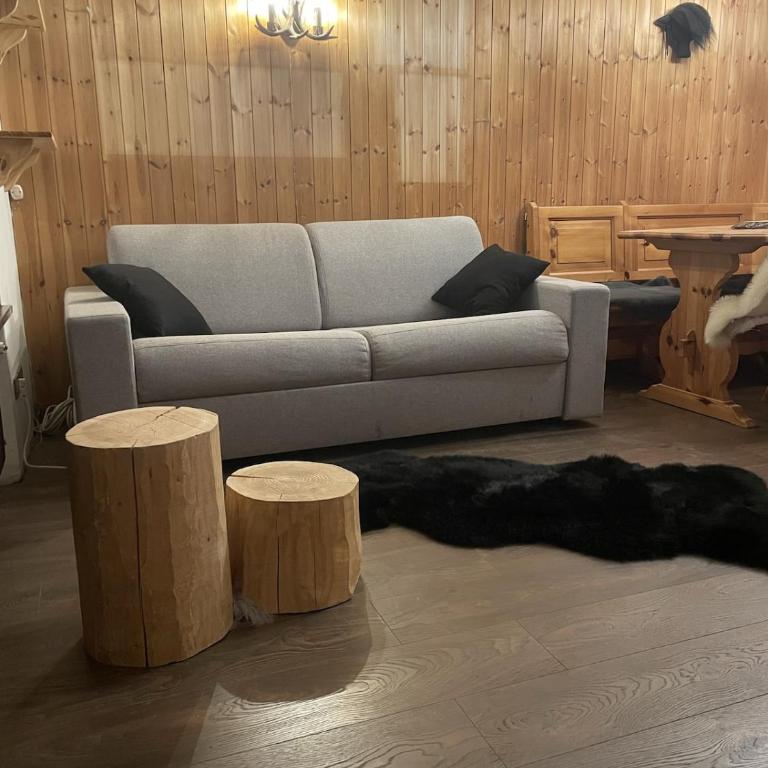 CIASA LAURINA - Apartment near the slopes with Dolomite views - Appartamento con 2 Camere da Letto - 29