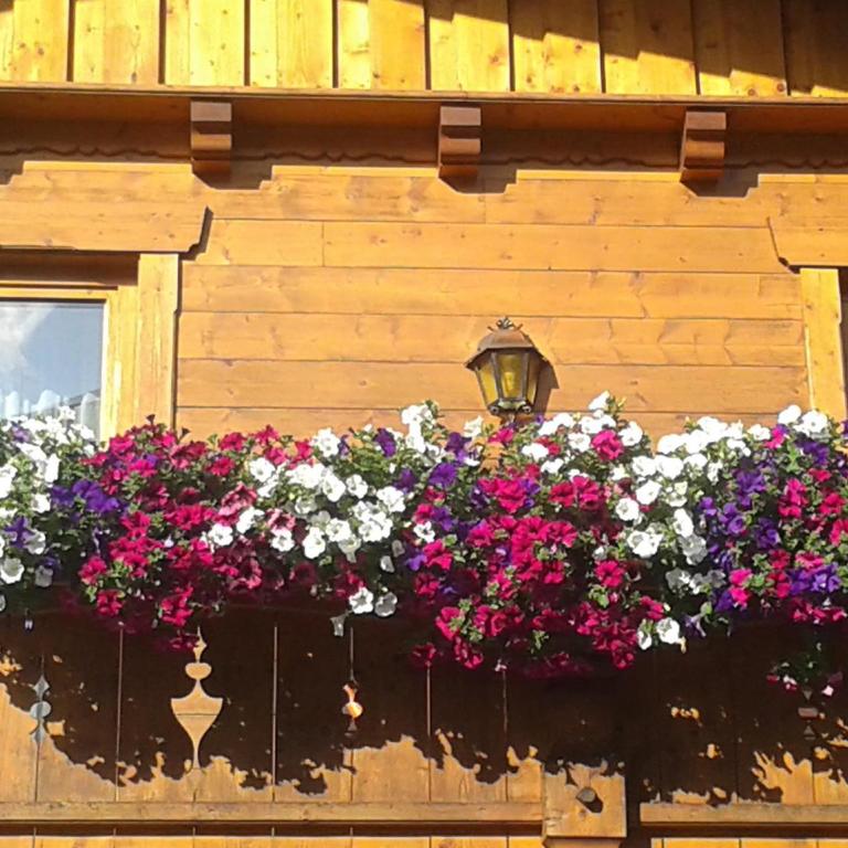 Ferienwohnung Landhaus Lechner - Apartment mit Dusche - 15