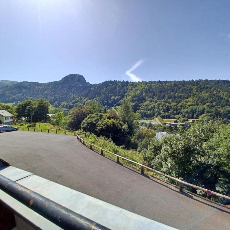Studio cosy Mont-Dore avec vue, balcon, parking - Apartamento de 2 dormitorios - 2