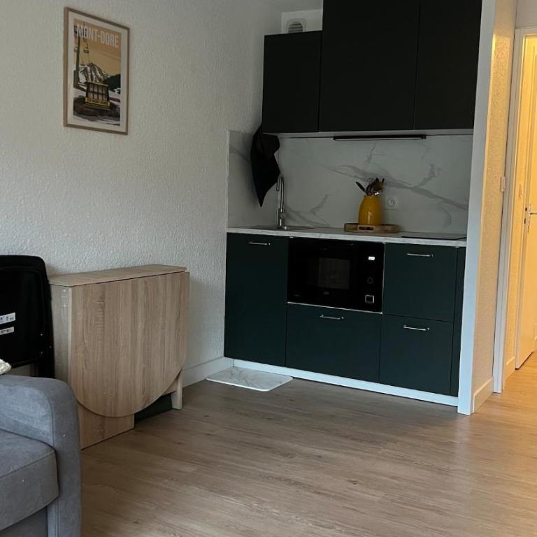 Studio cosy Mont-Dore avec vue, balcon, parking - Apartamento de 2 dormitorios - 3
