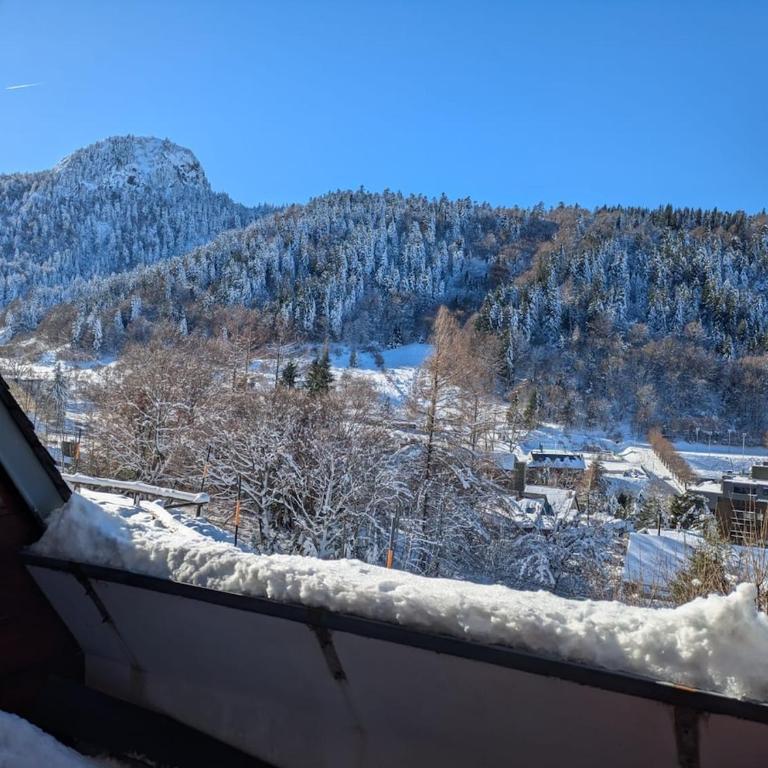 Studio cosy Mont-Dore avec vue, balcon, parking - Apartamento de 2 dormitorios - 6
