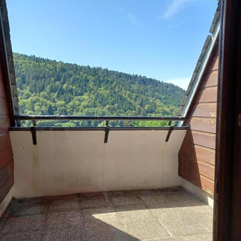 Studio cosy Mont-Dore avec vue, balcon, parking - Apartamento de 2 dormitorios - 13