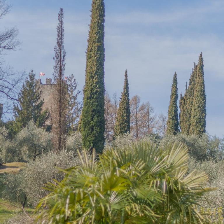 Corte al Castello - Appartamento con Balcone - 29
