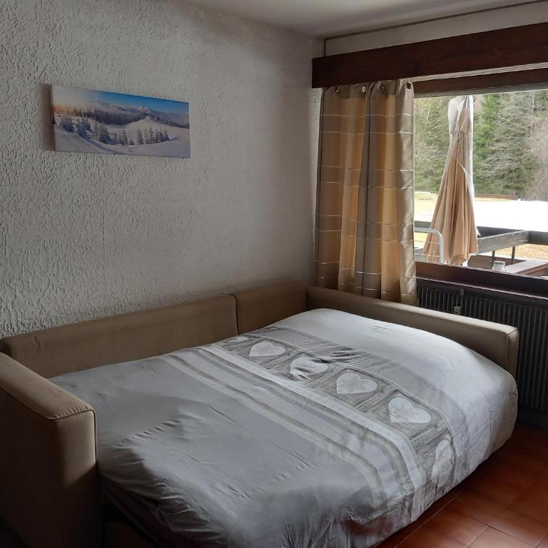 SKI AUX PIEDS et PIEDS DANS L'EAU - Apartment mit 1 Schlafzimmer - 1