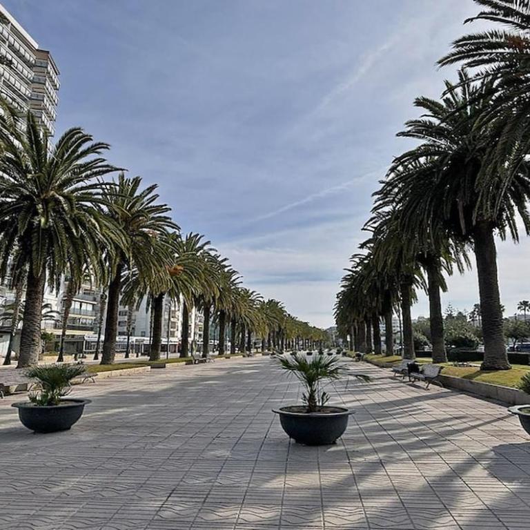 Moderno apartamento a 100m de la playa Llevant - Apartamento de 2 dormitorios - 20