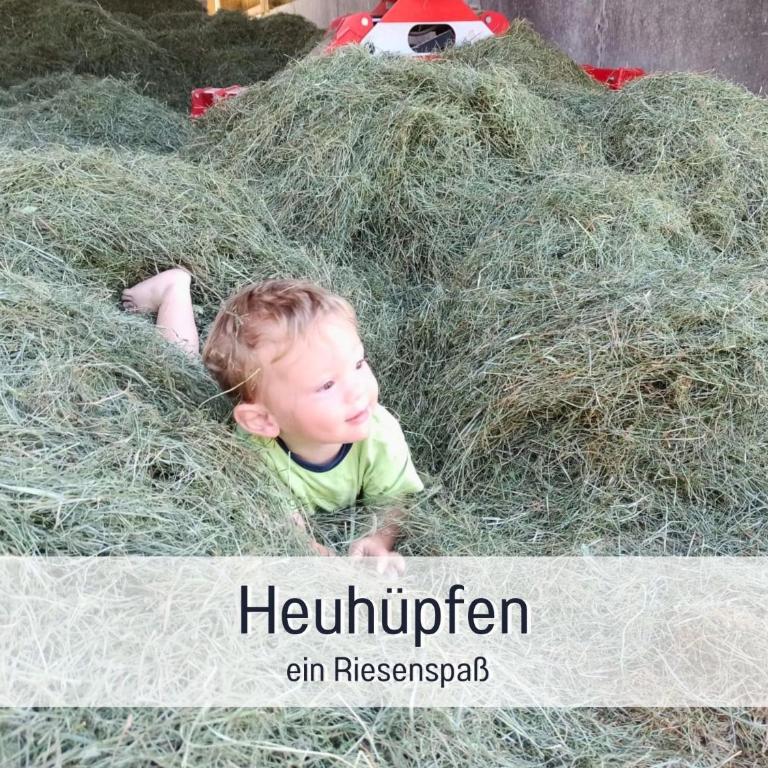 Ferienhof Eger - entspannter Urlaub mit Baby & Kleinkind - wahlweise top modern oder günstige Fewos - ruhig am Ende der Straße - Kälbchen füttern - Traktor fahren - Freie Fahrt mit den Hörnerbahnen in Sommersaison - E-Ladestation - E-bike Verleih ab Hof - Apartment mit Blick auf die Berge - 3