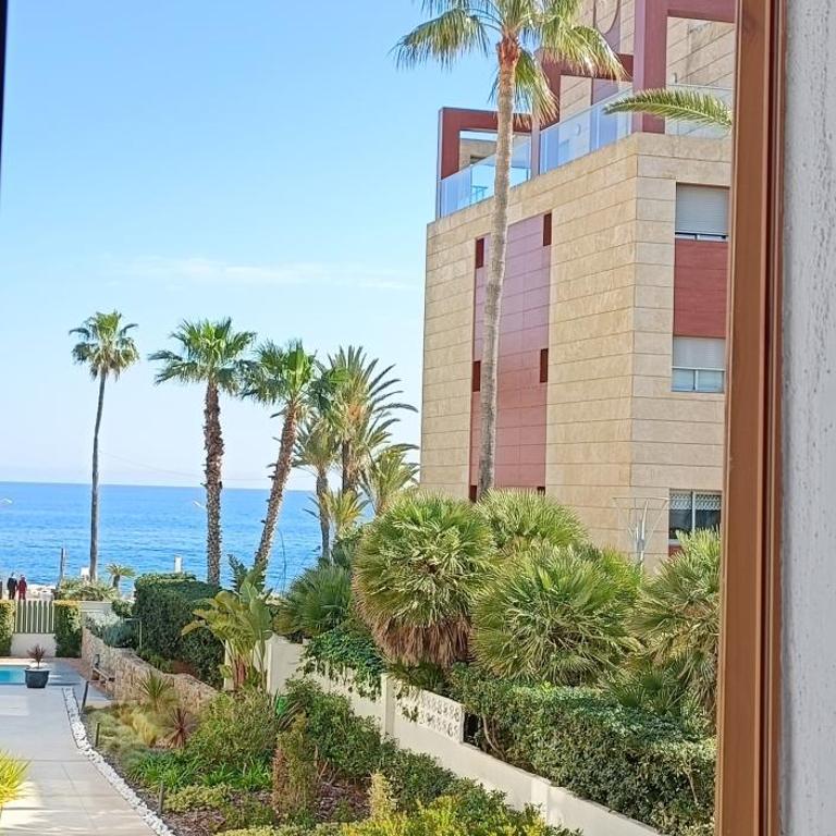 Wind Rose Study Xàbia - Apartamento de 1 dormitorio - 2