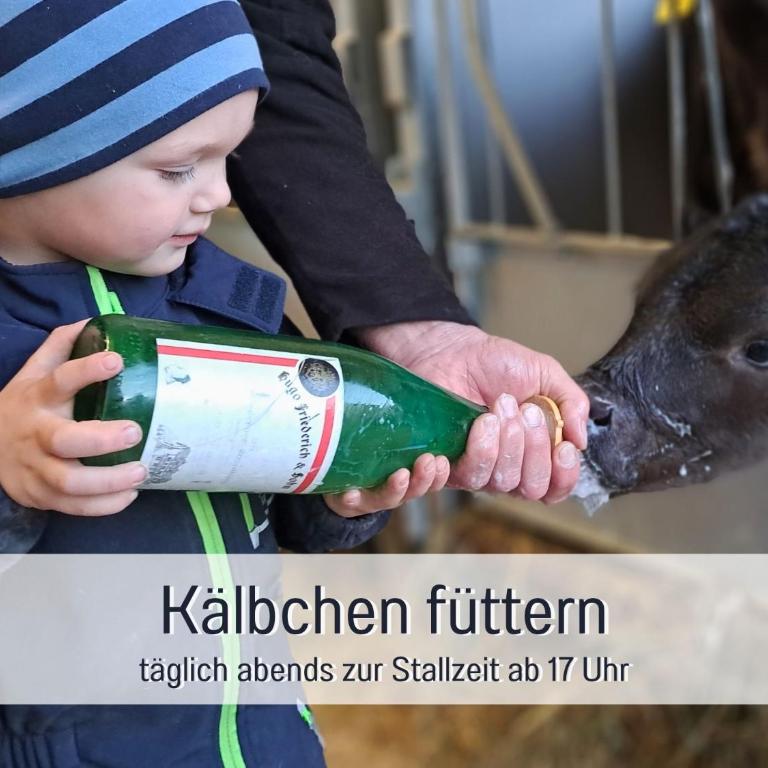 Ferienhof Eger - entspannter Urlaub mit Baby & Kleinkind - wahlweise top modern oder günstige Fewos - ruhig am Ende der Straße - Kälbchen füttern - Traktor fahren - Freie Fahrt mit den Hörnerbahnen in Sommersaison - E-Ladestation - E-bike Verleih ab Hof - Apartment mit Blick auf die Berge - 18
