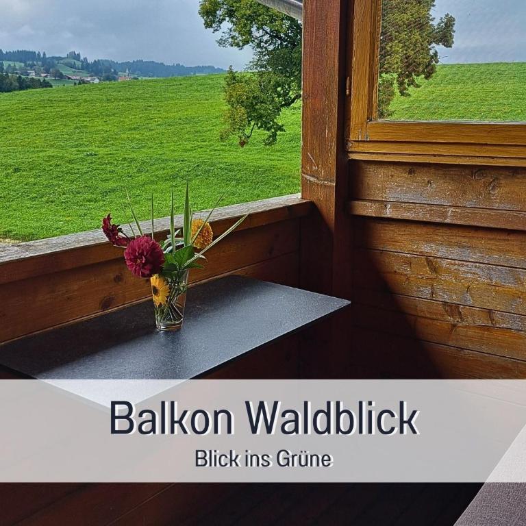 Ferienhof Eger - entspannter Urlaub mit Baby & Kleinkind - wahlweise top modern oder günstige Fewos - ruhig am Ende der Straße - Kälbchen füttern - Traktor fahren - Freie Fahrt mit den Hörnerbahnen in Sommersaison - E-Ladestation - E-bike Verleih ab Hof - Apartment mit Balkon - 16
