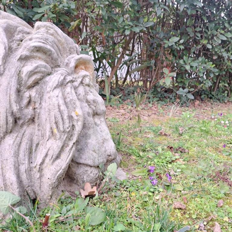 Lion house - Appartamento con 3 Camere da Letto - 8