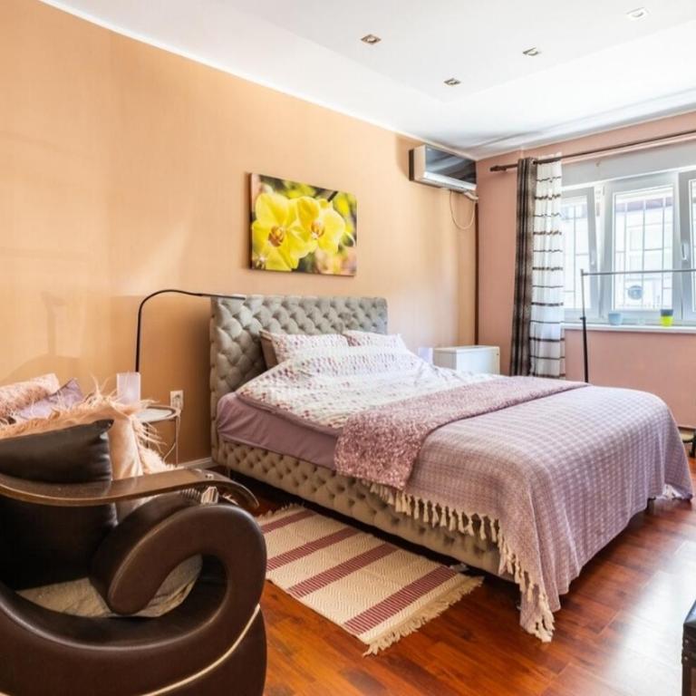 Chic apartment Dorćol - One-Bedroom Apartment - 11