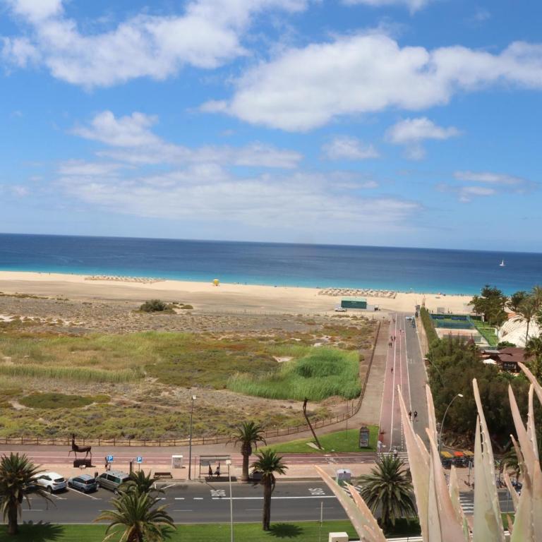 PLAYA MIRAR in Palm Garden - Apartamento de 1 dormitorio - 3