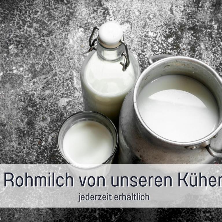 Ferienhof Eger - entspannter Urlaub mit Baby & Kleinkind - wahlweise top modern oder günstige Fewos - ruhig am Ende der Straße - Kälbchen füttern - Traktor fahren - Freie Fahrt mit den Hörnerbahnen in Sommersaison - E-Ladestation - E-bike Verleih ab Hof - Apartment mit Blick auf die Berge - 30