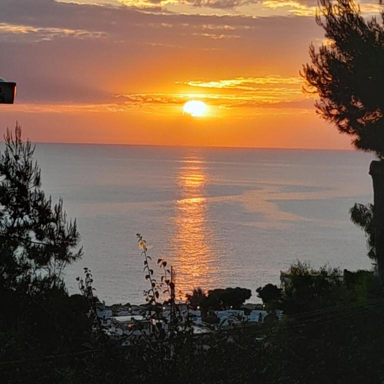 Sea apartment & pool 2 - Two-Bedroom Villa - 62