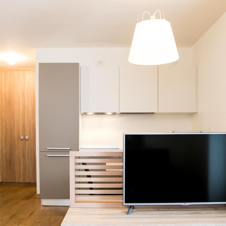 Mirtillo Blu Family Apartment - Monolocale - 4