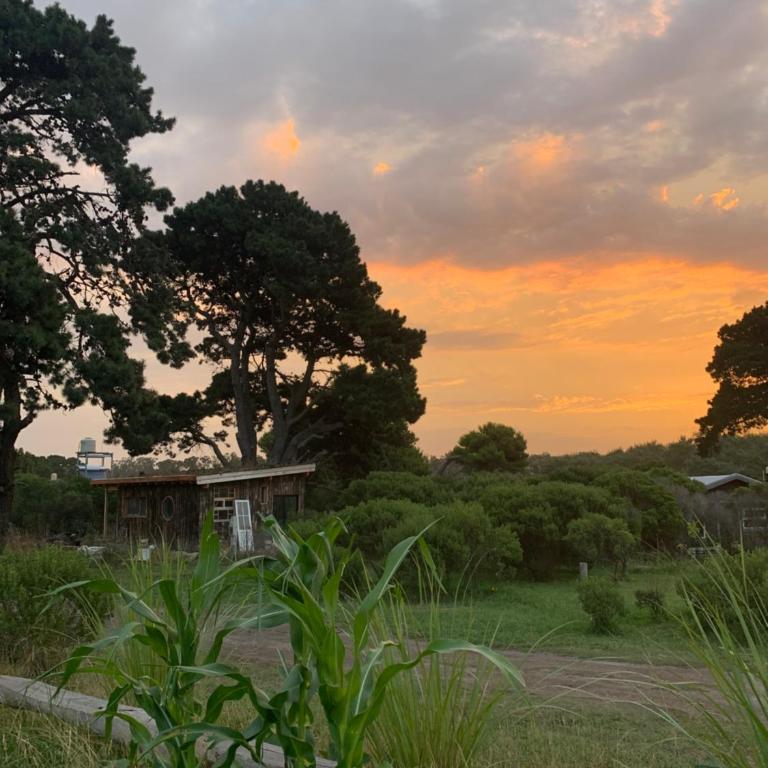 Cabaña La Rosa - Four-Bedroom House - 26