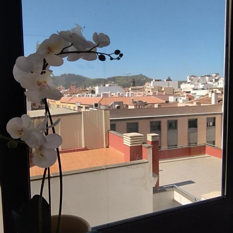 Estudio centro de La Laguna - Apartamento de 1 dormitorio - 6