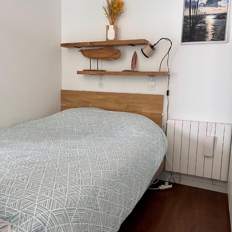 Première ligne accès privé et direct à la plage Vue mer - Apartment mit 3 Schlafzimmern - 23