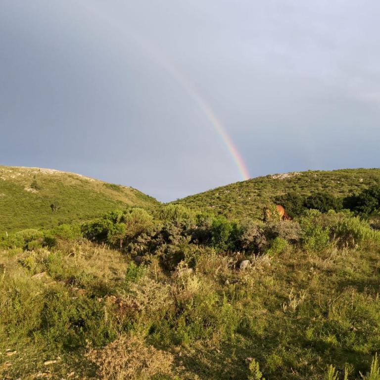 cabaña sin luz en campo - Apartamento de 1 dormitorio - 1