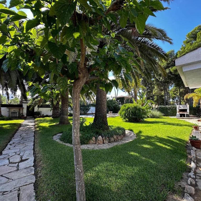 Villa DEA - Home away from home - Families Only - Villa con piscina privada - 15