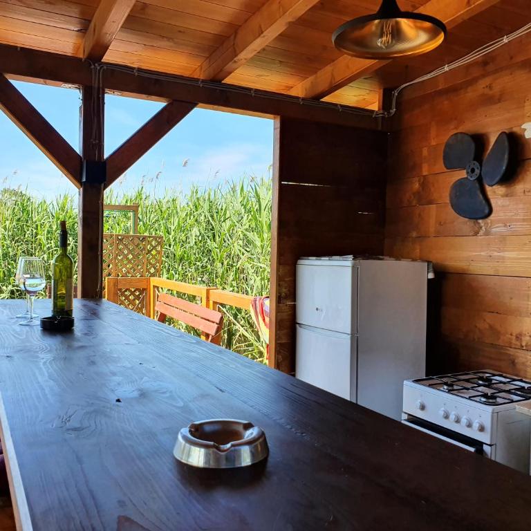 Ivana Houses Ada Bojana - Two-Bedroom Apartment - 8