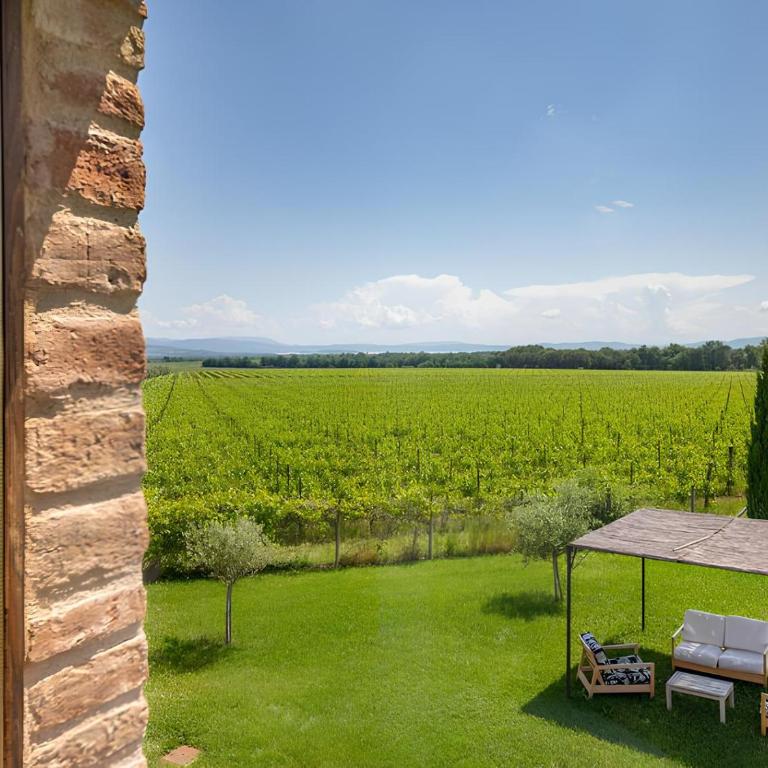 Villa Le Vigne, 8 pax, private pool, Top Comfort - Villa - 6