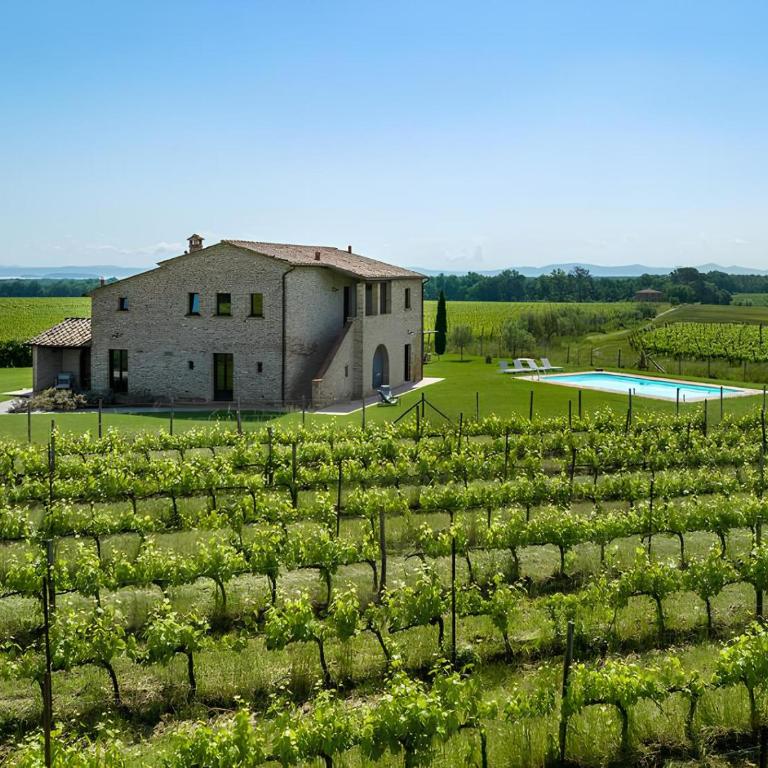 Villa Le Vigne, 8 pax, private pool, Top Comfort - Villa - 2