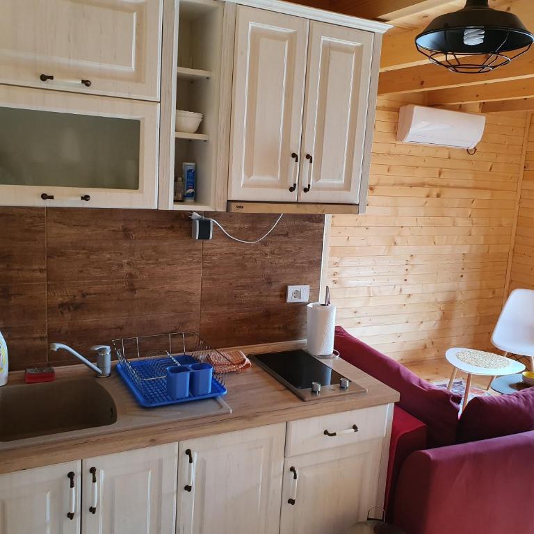 Ivana Houses Ada Bojana - One-Bedroom Apartment - 23